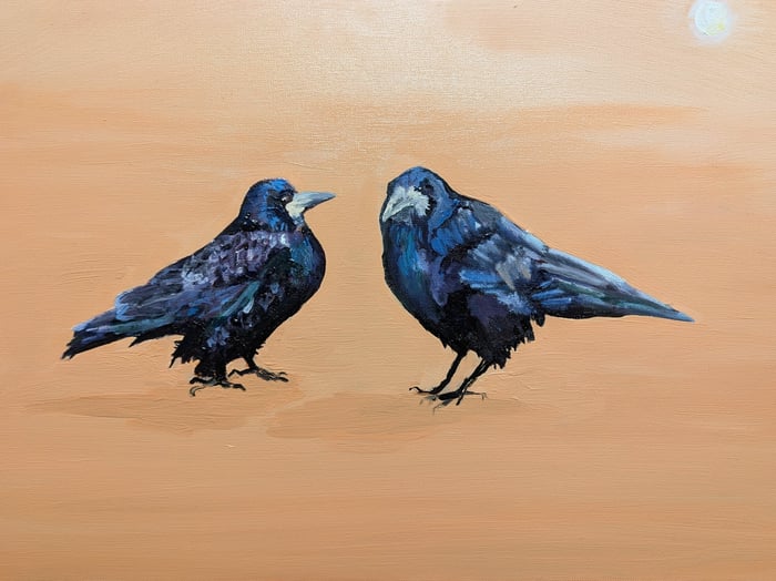 Rooks image